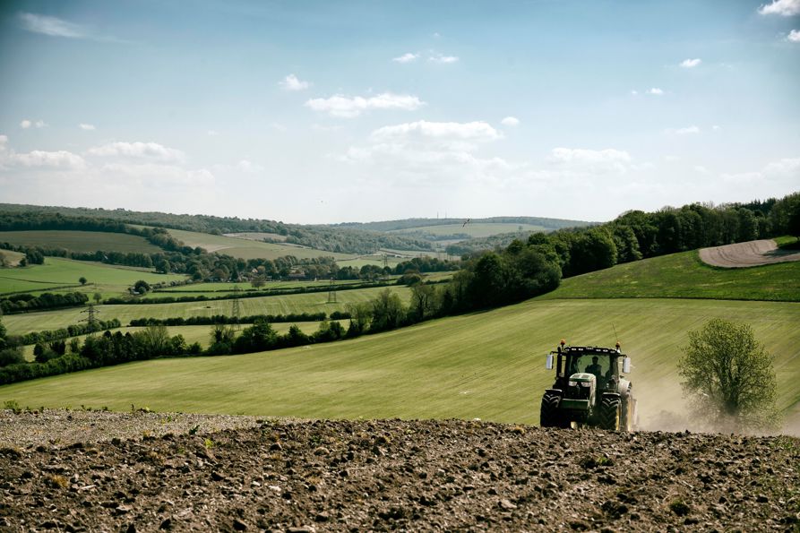 GOODWOOD ESTATE PROJECT..STARTED IN 2019, COMMISSIONED BY DR