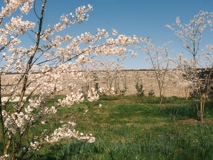 DSCF5040.JPG