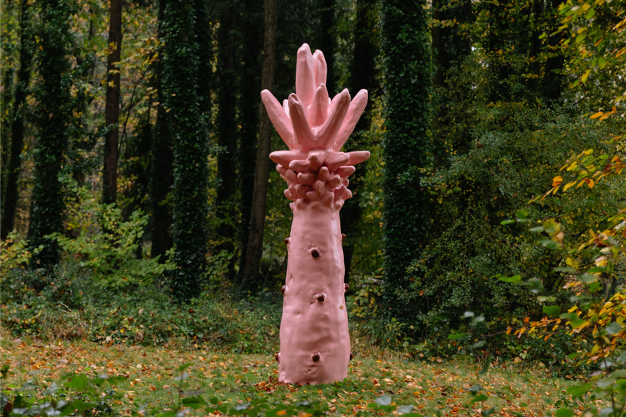 GAF Website images (5).png