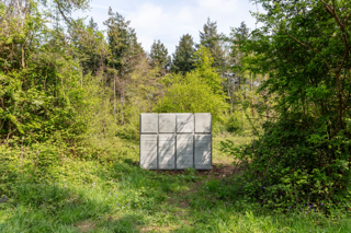 GAF Website images. Lucy Dawkins.png