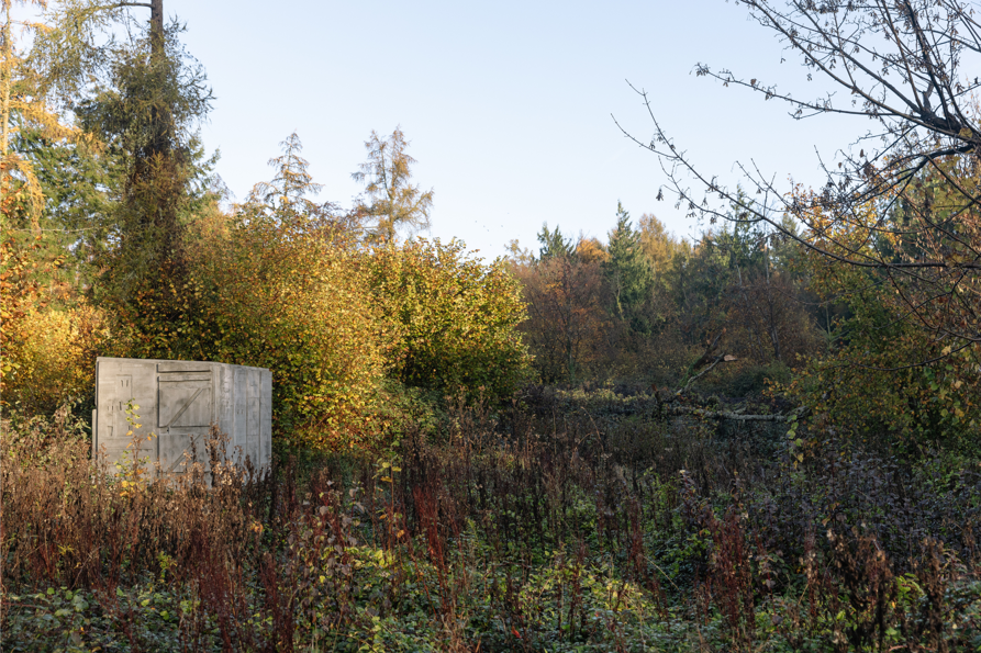 GAF Website images (4).png