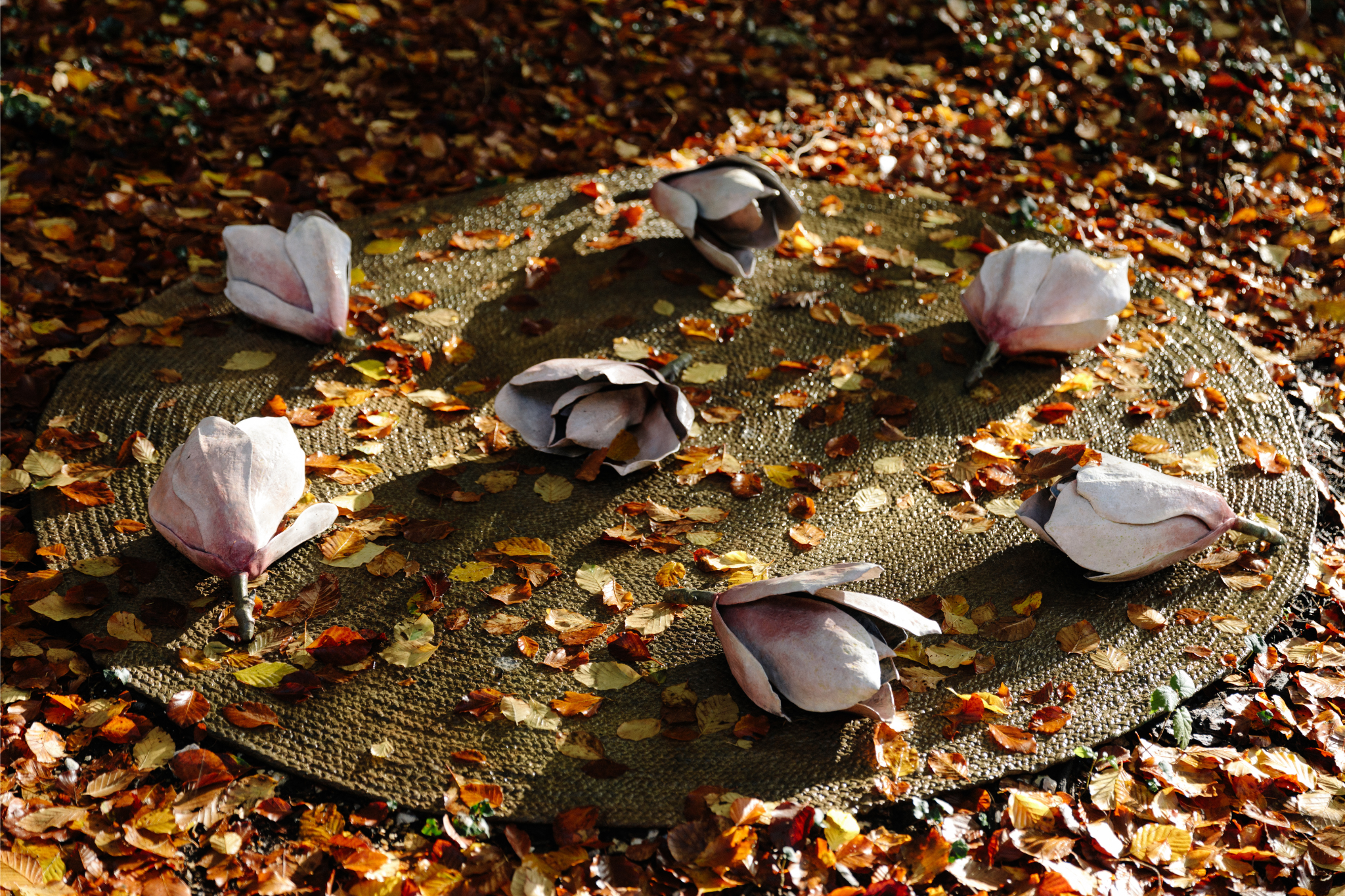 GAF Website images (6).png