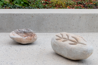 Summer Programme - Landscape Image (1).png