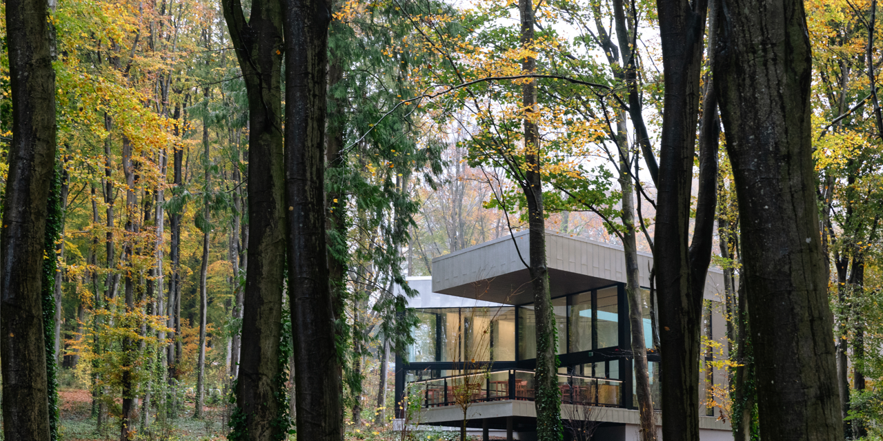 GAF Website images (1).png