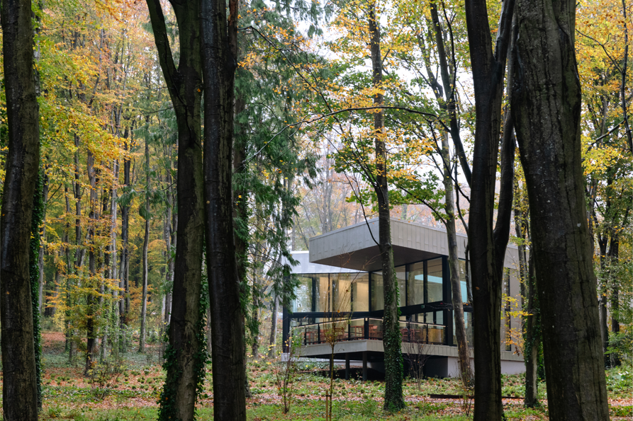 GAF Website images (2).png