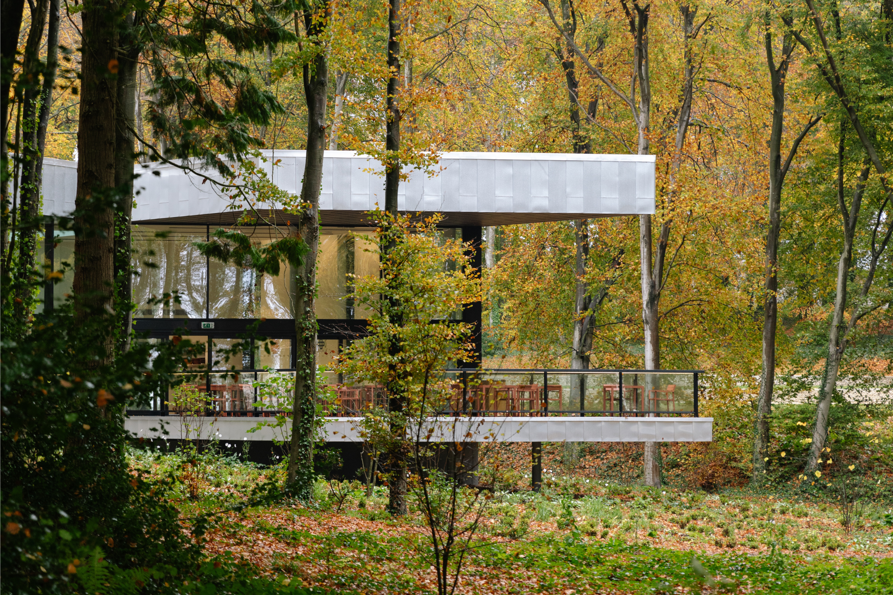 GAF Website images (3).png