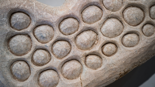 GAF Website images (5).png