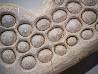 GAF Website images (5).png