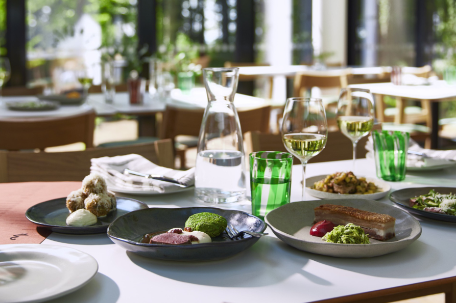 Untitled design (5).png