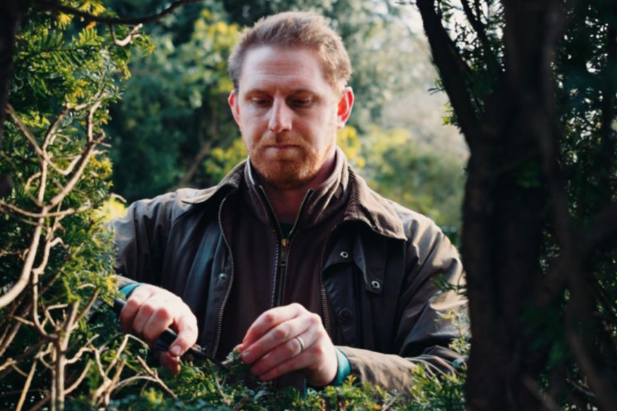 GAF Website images (5).png