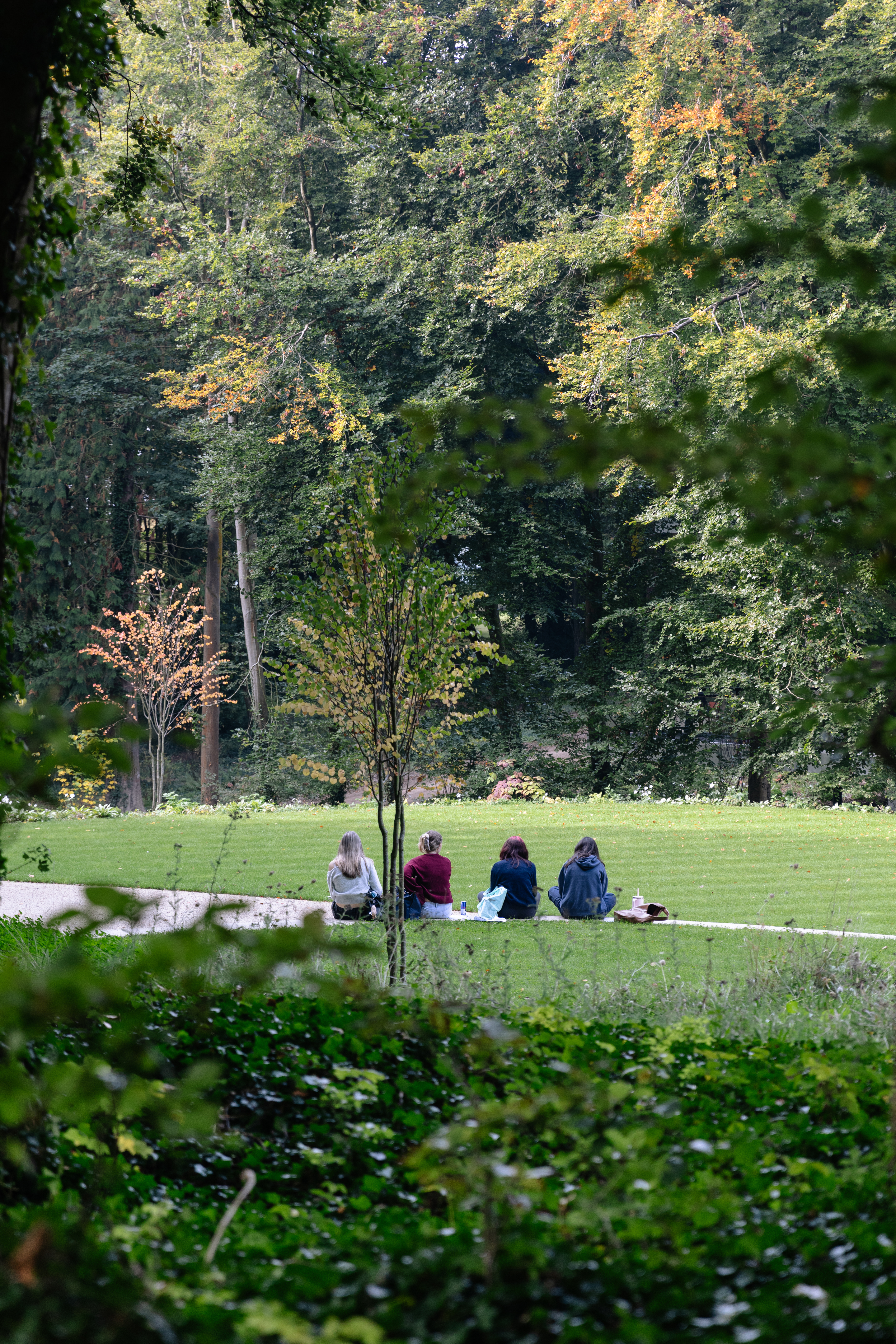 LANDSCAPE-TEST-Goodwood-Arts-Foundation-Maria-Bell-Photography-copyright-46.jpg