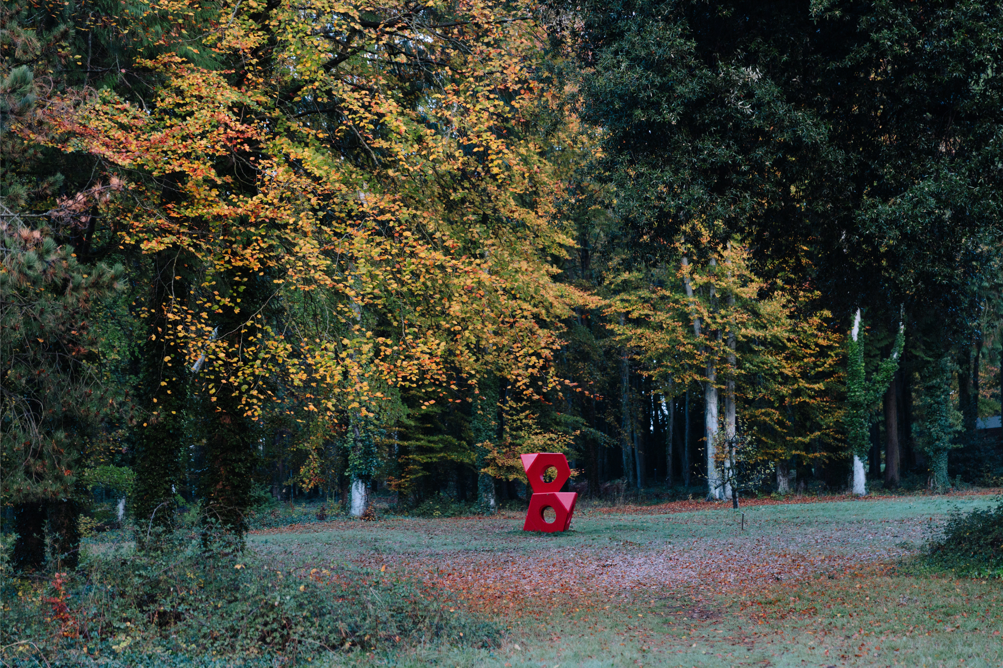 GAF Website images (8).png